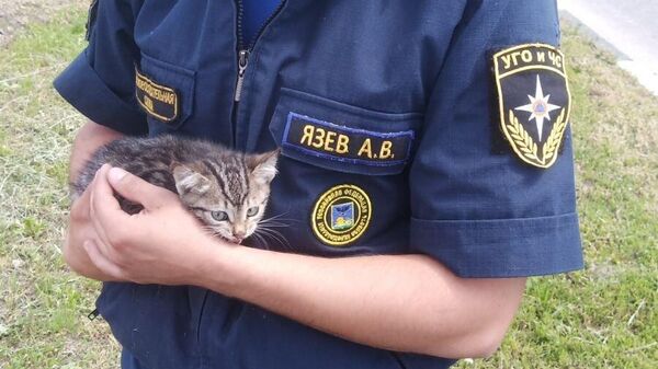 Сотрудник МЧС России приютил у себя спасённого котенка