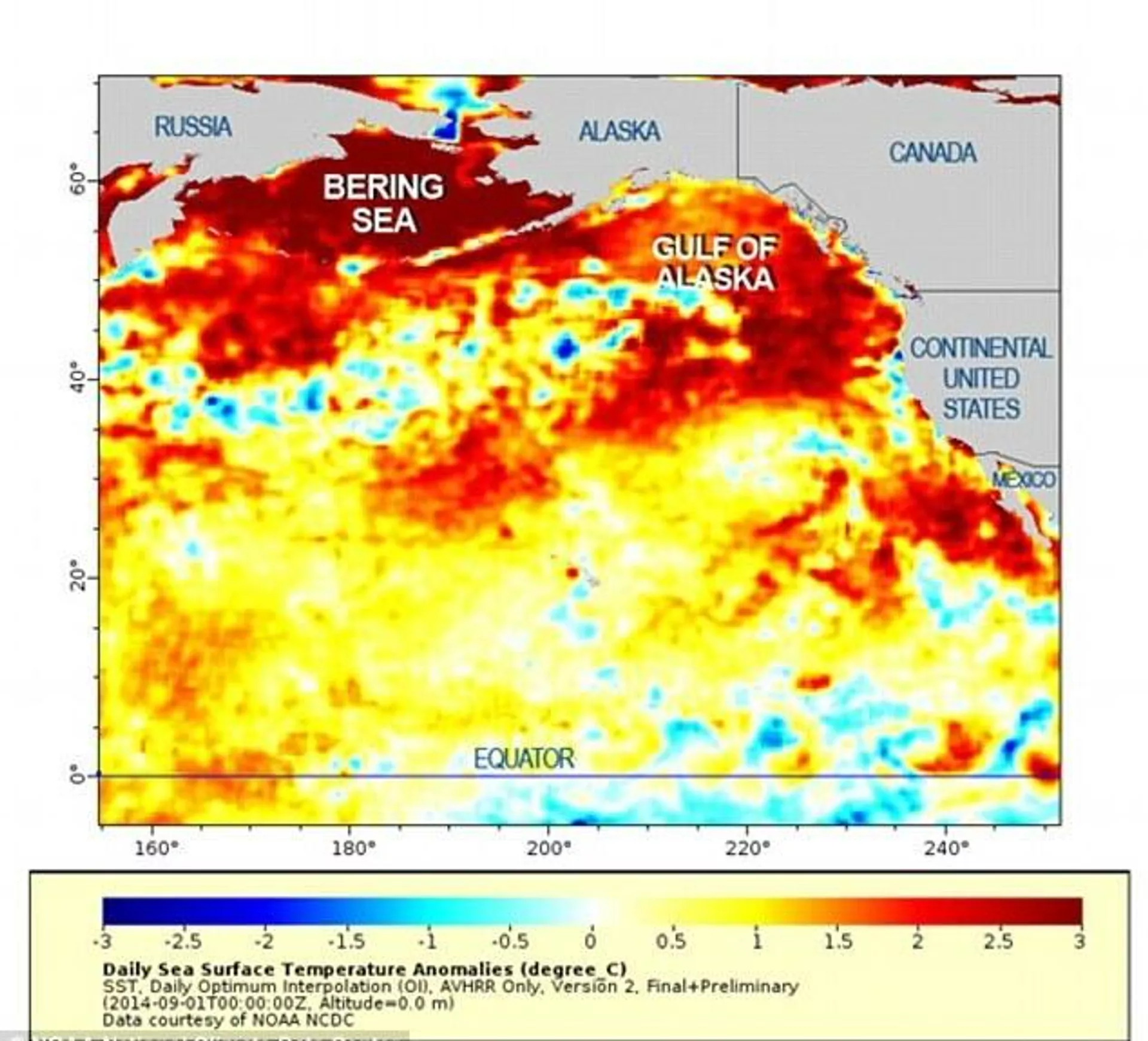 На карте температуры поверхности моря от 1 сентября 2014 года видны три области теплой воды, расположенные у берегов Мексики, Канады и в Беринговом море - РИА Новости, 1920, 04.06.2021