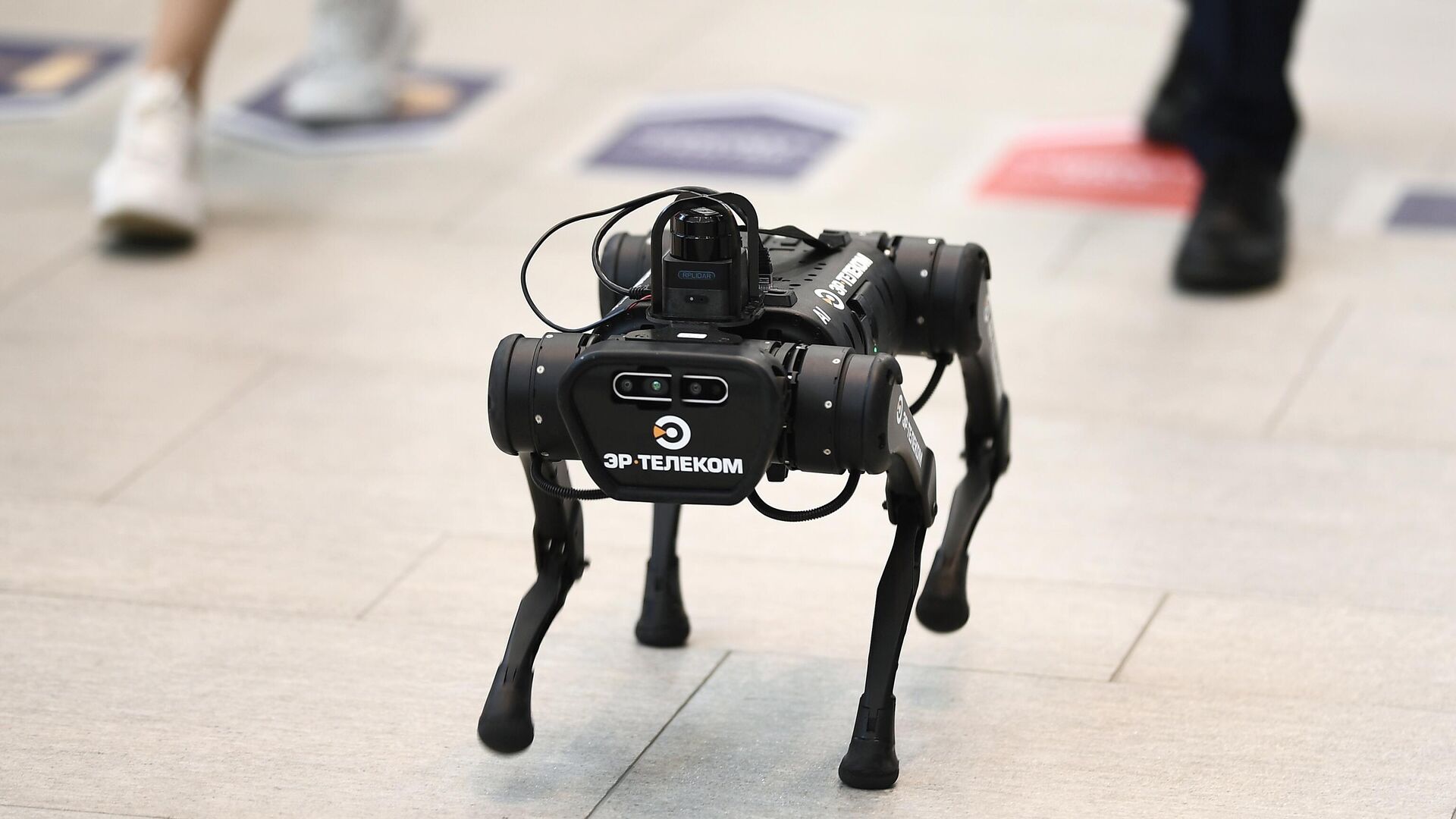Робот-собака с логотипом компании ЭР-Телеком на Петербургском международном экономическом форуме - 2021 - РИА Новости, 1920, 05.06.2021