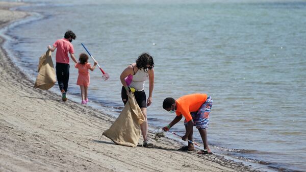 Волонтеры собирают мусор на пляже, Флорида 