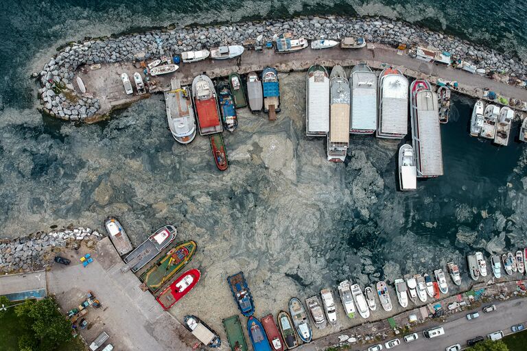 Мраморном море у побережья Турции, покрытое морской слизью