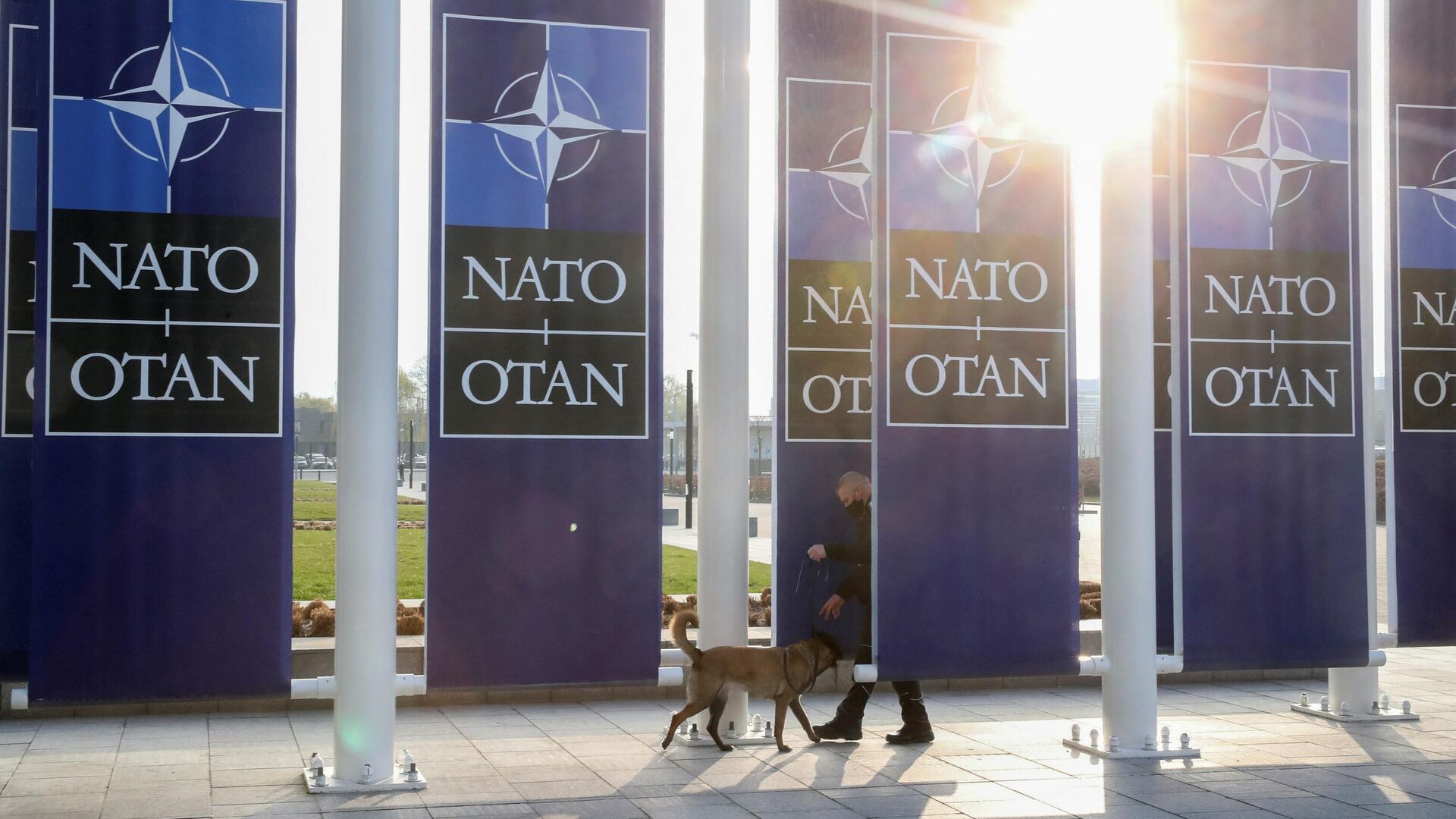 Офицер службы безопасности с собакой перед зданием штаб-квартиры НАТО в Брюсселе - РИА Новости, 1920, 07.06.2021