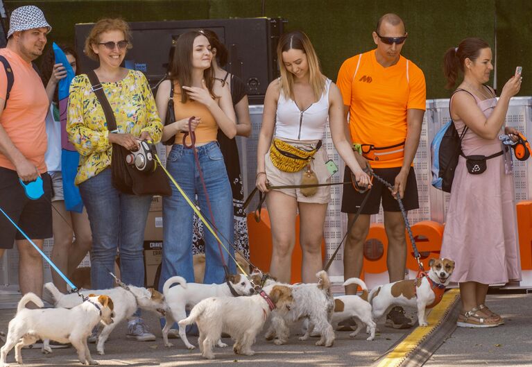 Хозяева со своими питомцами породы джек-рассел-терьер на фестивале Petshop Days 2021 в Приморском парке Победы на Крестовском острове в Санкт-Петербурге