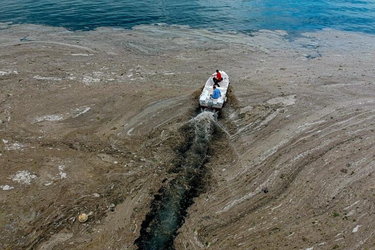 Мраморное море покрытое слизью в районе Стамбула