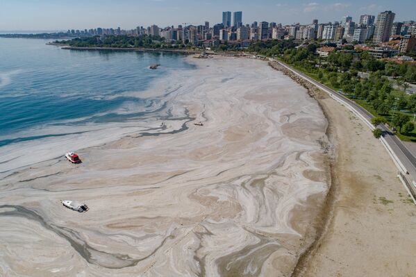 Мраморное море покрытое слизью в районе Стамбула
