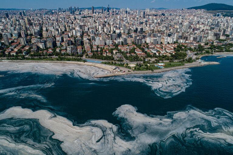 Мраморное море покрытое слизью в районе Стамбула