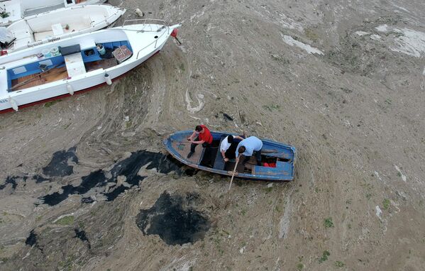 Мраморное море покрытое слизью в районе Стамбула