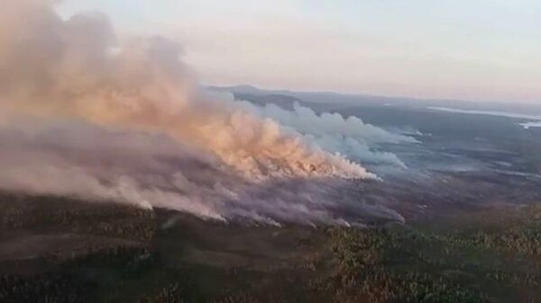 Крупный пожар в Ковдорском лесничестве Мурманской области