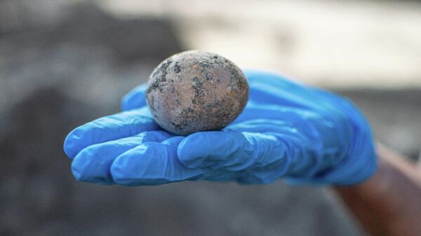 Целое куриное яйцо возрастом порядка 1 тысячи лет обнаружено в ходе раскопок в израильском городе Явне к югу от Тель-Авива