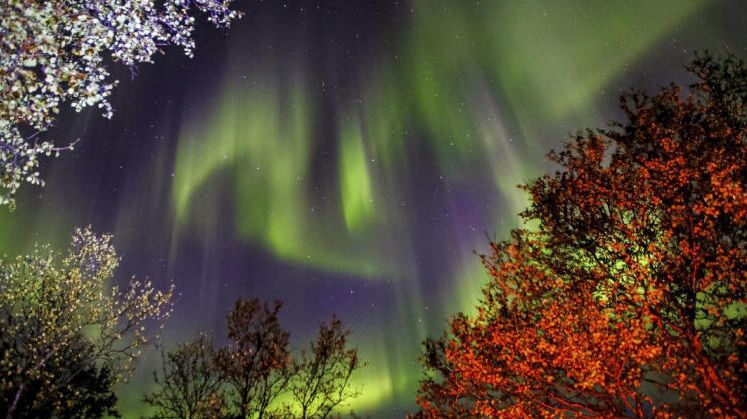 фосагро-россия фосагро-россия - РИА Новости, 1920, 09.06.2021