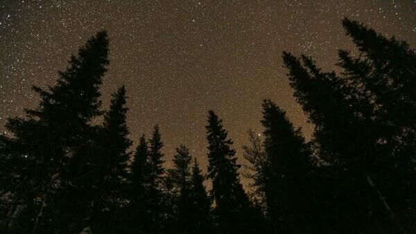 Звездное небо над городом Онкамо в Финляндии. Павел Львов / РИА Новости