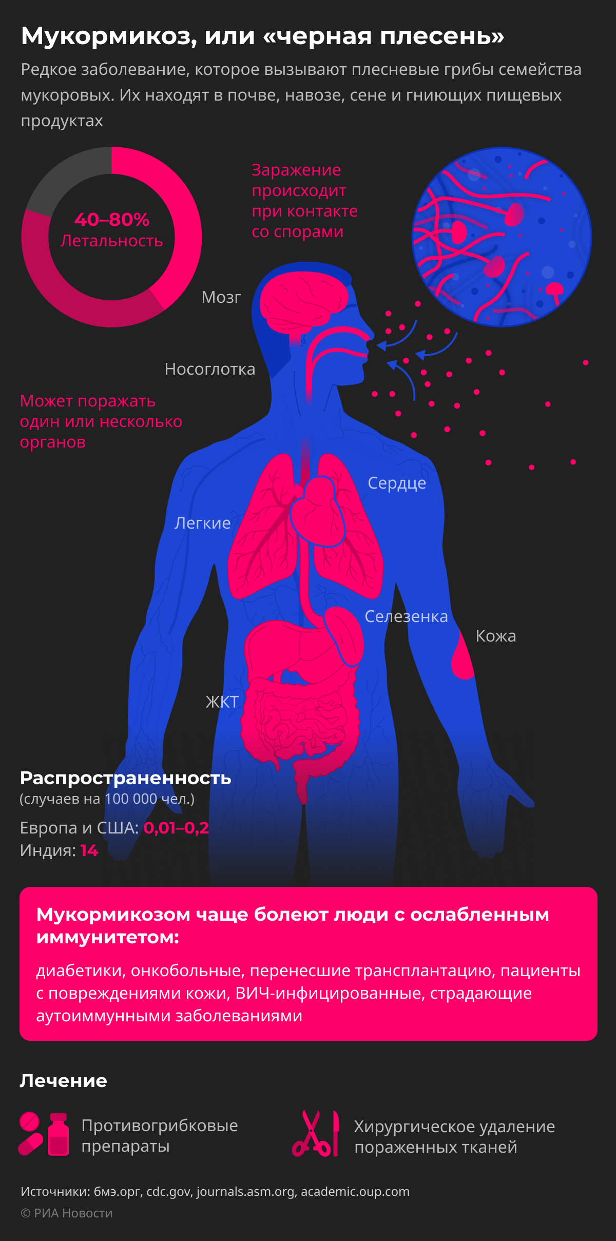 Мукормикоз, или “черная плесень”: что это за болезнь и кто в группе риска desk