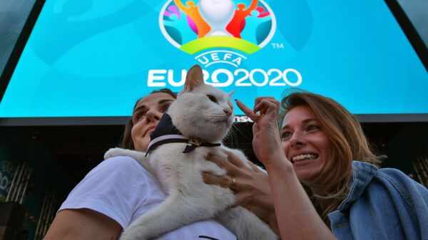 Эрмитажный кот-оракул Ахилл перед началом трансляции матча 1-го тура группового этапа чемпионата Европы по футболу 2020 между сборными Бельгии и России в футбольной деревне УЕФА Евро-2020 в Санкт-Петербурге.