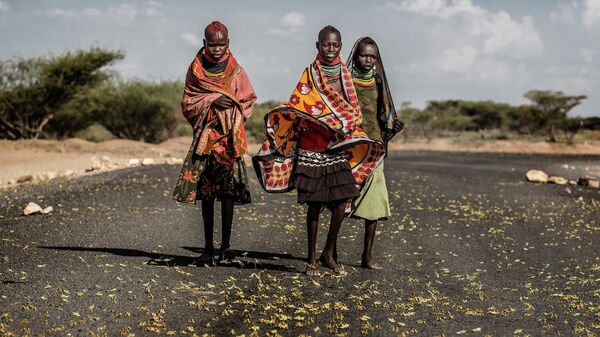 Работа фотографа Луис Тато Нашествие саранчи на востоке Африки