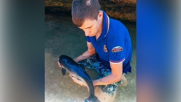 В Севастополе спасли застрявшего на мелководье дельфиненка