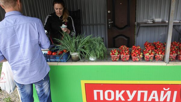 Продажа собранного урожая клубники в крестьянско-фермерском хозяйстве в Ставропольском крае