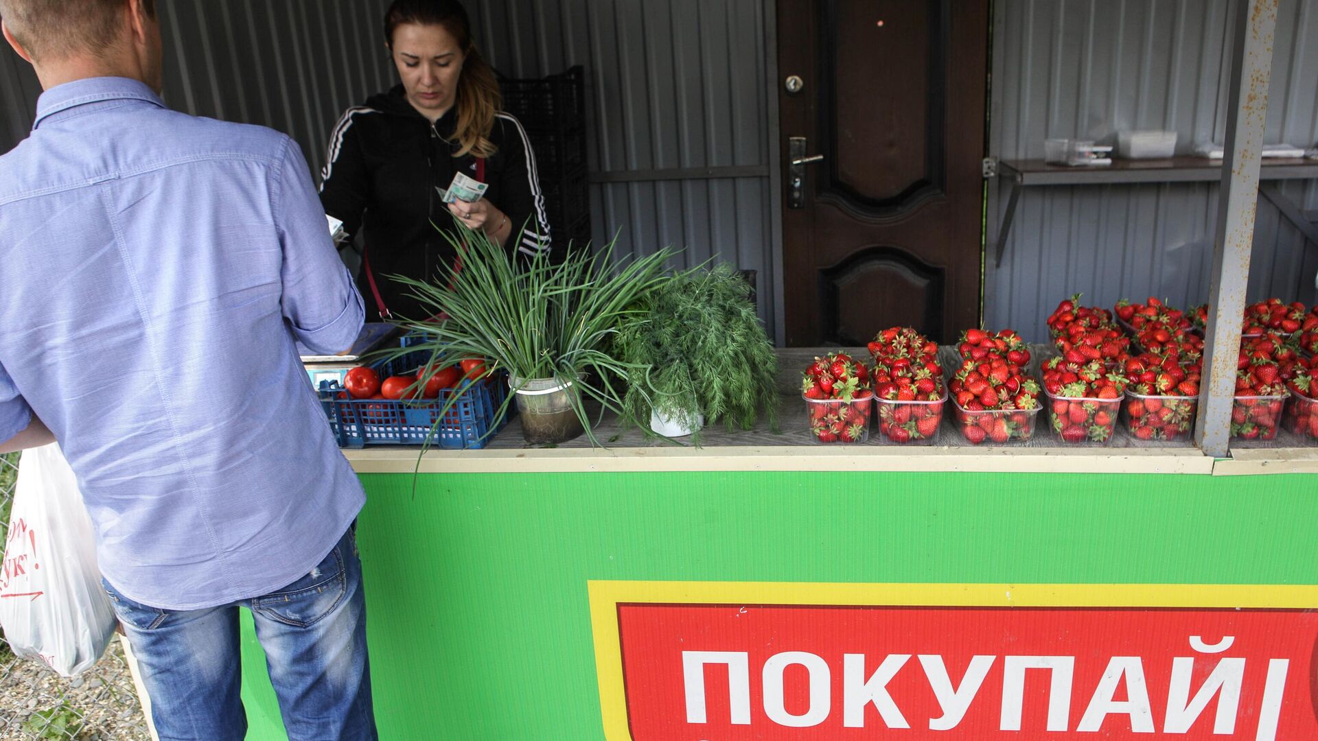 Продажа собранного урожая клубники в крестьянско-фермерском хозяйстве в Ставропольском крае - РИА Новости, 1920, 16.06.2021