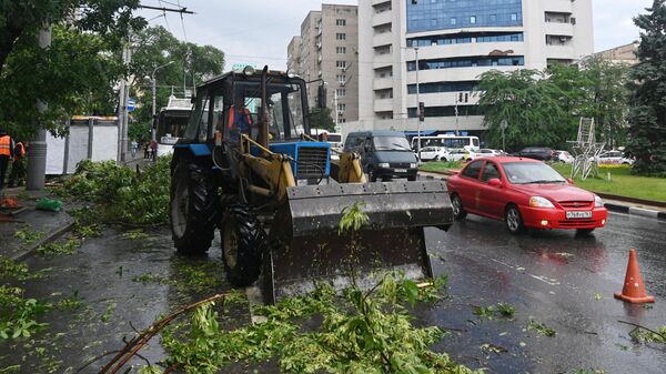 Работник коммунальной службы на тракторе убирает поваленные ветви деревьев после сильного ливня в Ростове-на-Дону