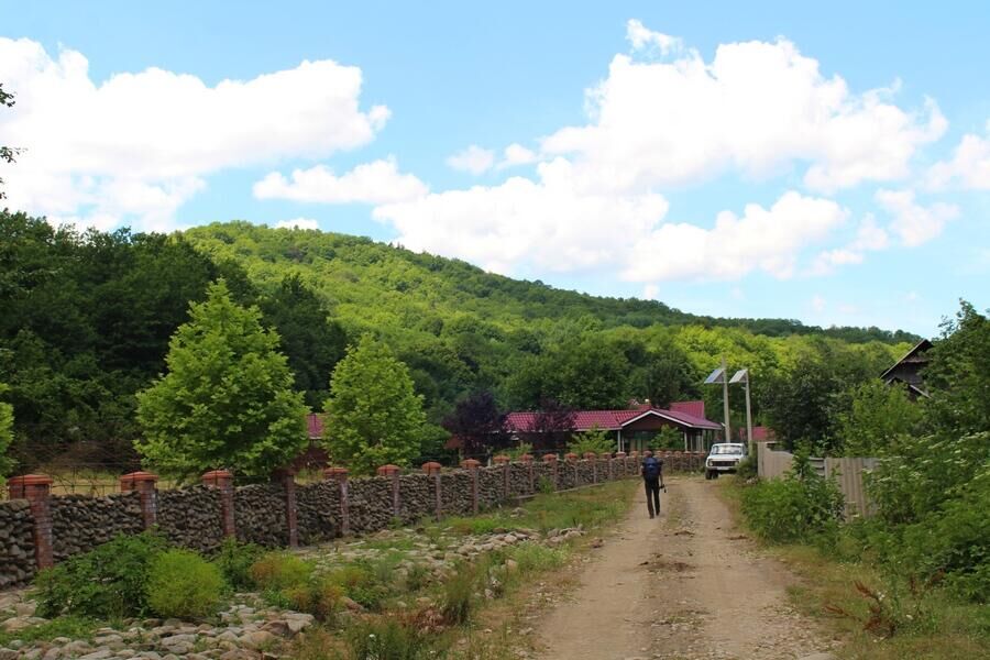 Улица Алтубинала - РИА Новости, 1920, 17.06.2021