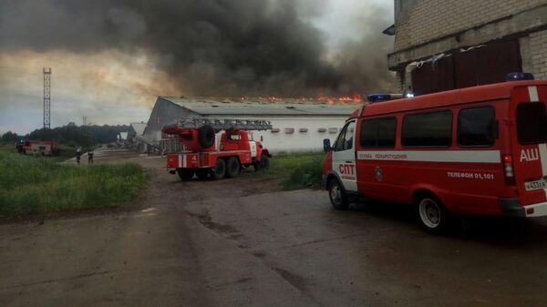 Пожар на птицефабрике в Челябинской области