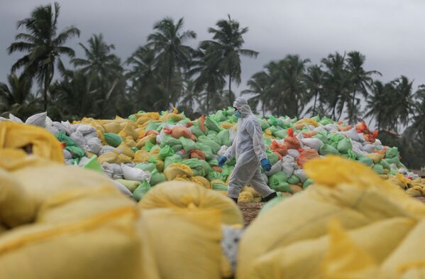 Член военно-морского флота Шри-Ланки проходит мимо мешков с собранным мусором на пляже, где затонул контейнеровоз X-Press Pearl