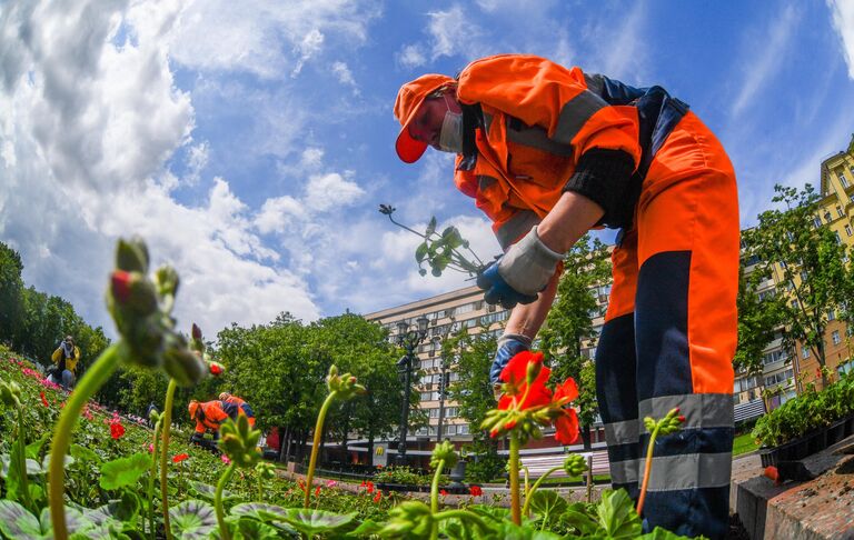 Высадка цветов в Москве