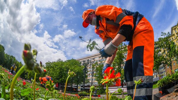 что будет 23 июня 2021 ночью. Смотреть фото что будет 23 июня 2021 ночью. Смотреть картинку что будет 23 июня 2021 ночью. Картинка про что будет 23 июня 2021 ночью. Фото что будет 23 июня 2021 ночью