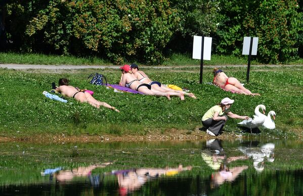 Люди загорают на газоне у пруда в жаркую погоду в парке культуры и отдыха Сокольники в Москве