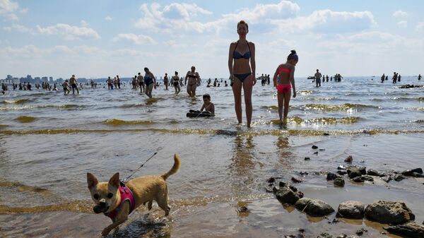 Люди купаются в море в жаркую погоду в парке 300-летия Санкт-Петербурга