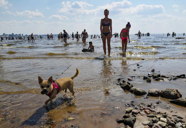Люди купаются в море в жаркую погоду в парке 300-летия Санкт-Петербурга