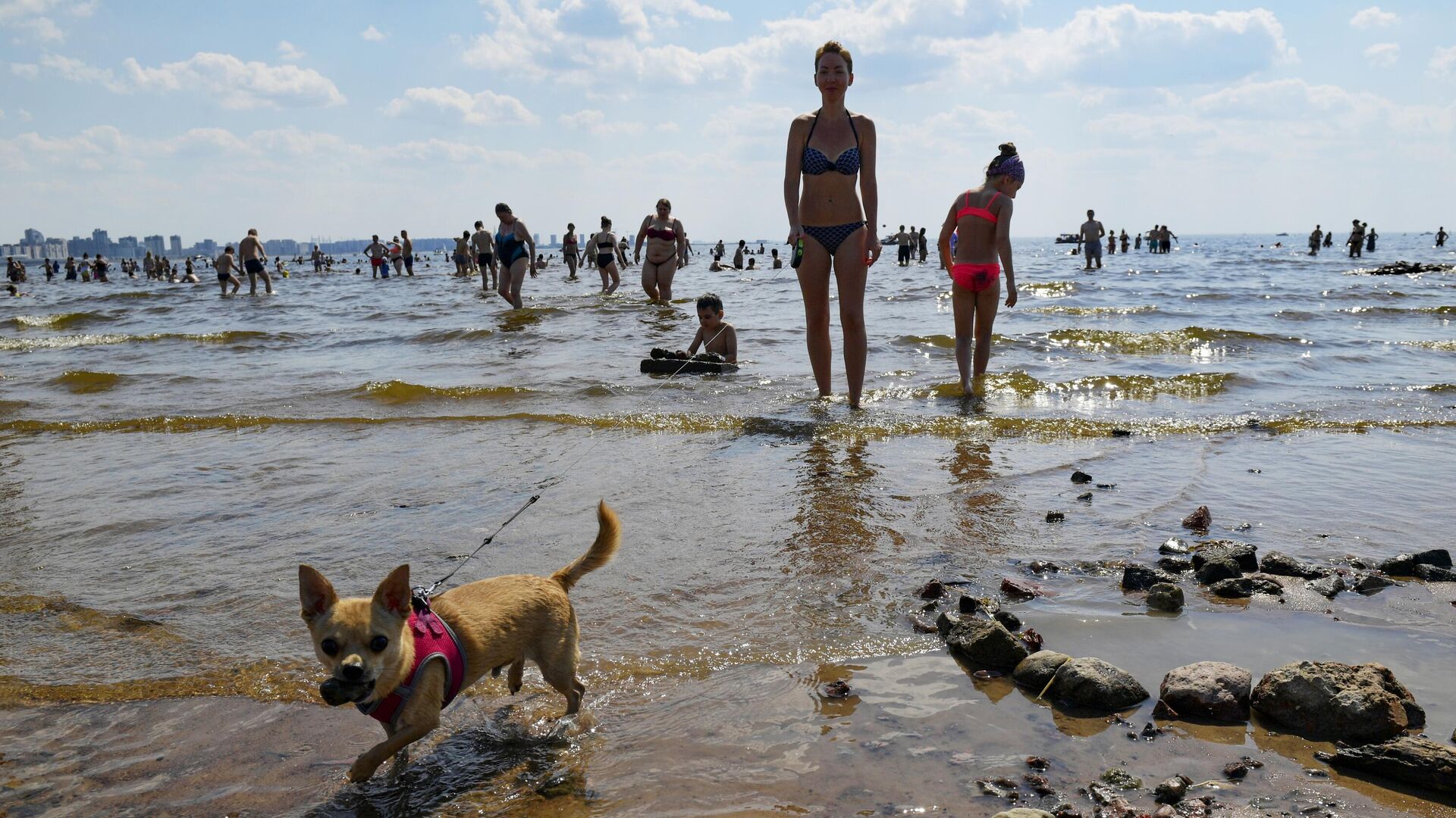 Люди купаются в море в жаркую погоду в парке 300-летия Санкт-Петербурга - РИА Новости, 1920, 23.06.2021