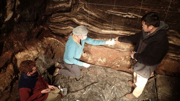 Авторы исследования отбирают образцы в Денисовой пещере