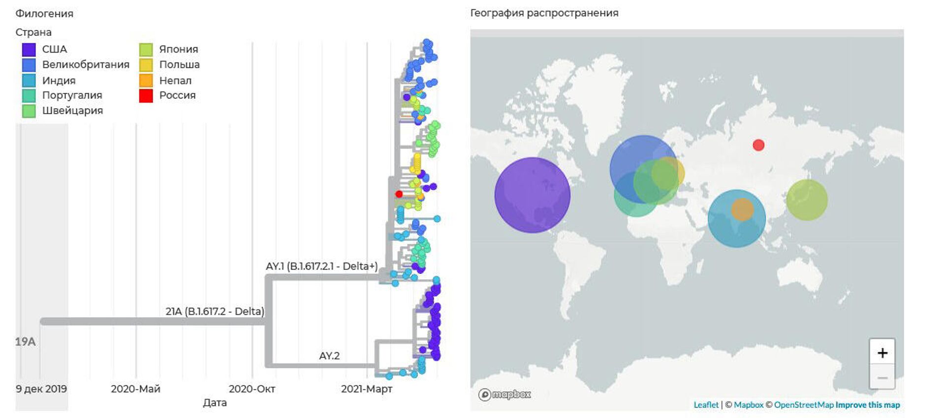 Филогенетическое дерево индийского штамма коронавируса SARS-CoV-2 (слева) и география распространения его вариантов на 24 июня 2021 года - РИА Новости, 1920, 24.06.2021