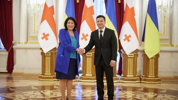 Президент Грузии Саломе Зурабишвили и президент Украины Владимир Зеленский во время встречи в Киеве