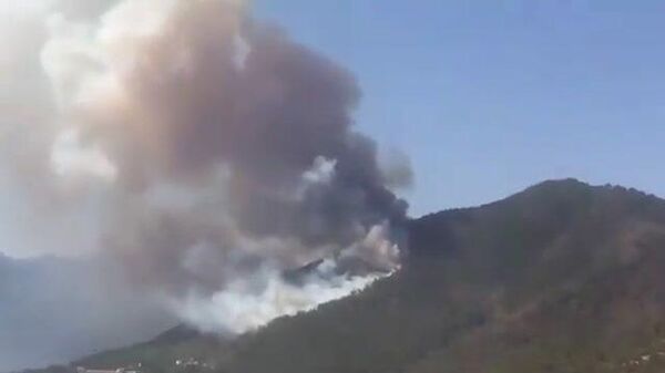 Крупный лесной пожар в районе турецкого курорта Мармарис