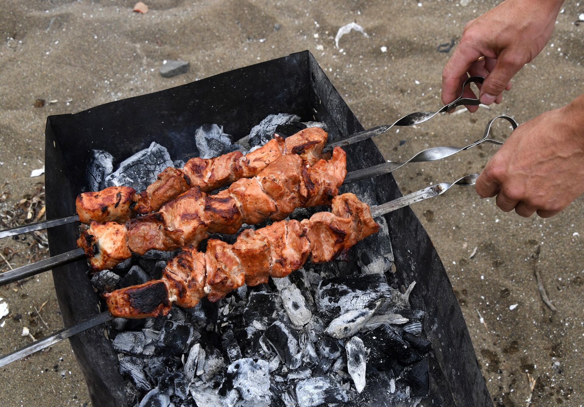 Отдыхающие жарят мясо в бухте Муравьиная Уссурийского залива в Приморском крае - РИА Новости, 1920, 19.05.2023