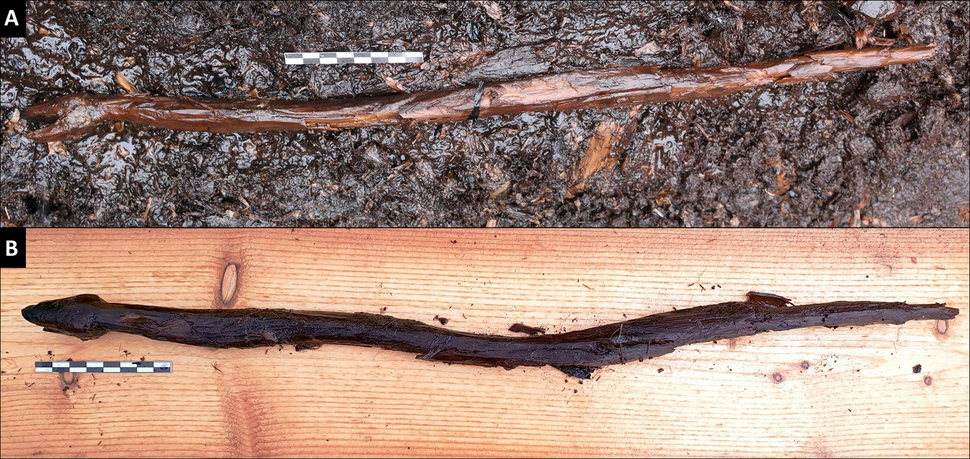 Посох в форме змеи, обнаруженный у озера на юго-западе Финляндии - РИА Новости, 1920, 29.06.2021