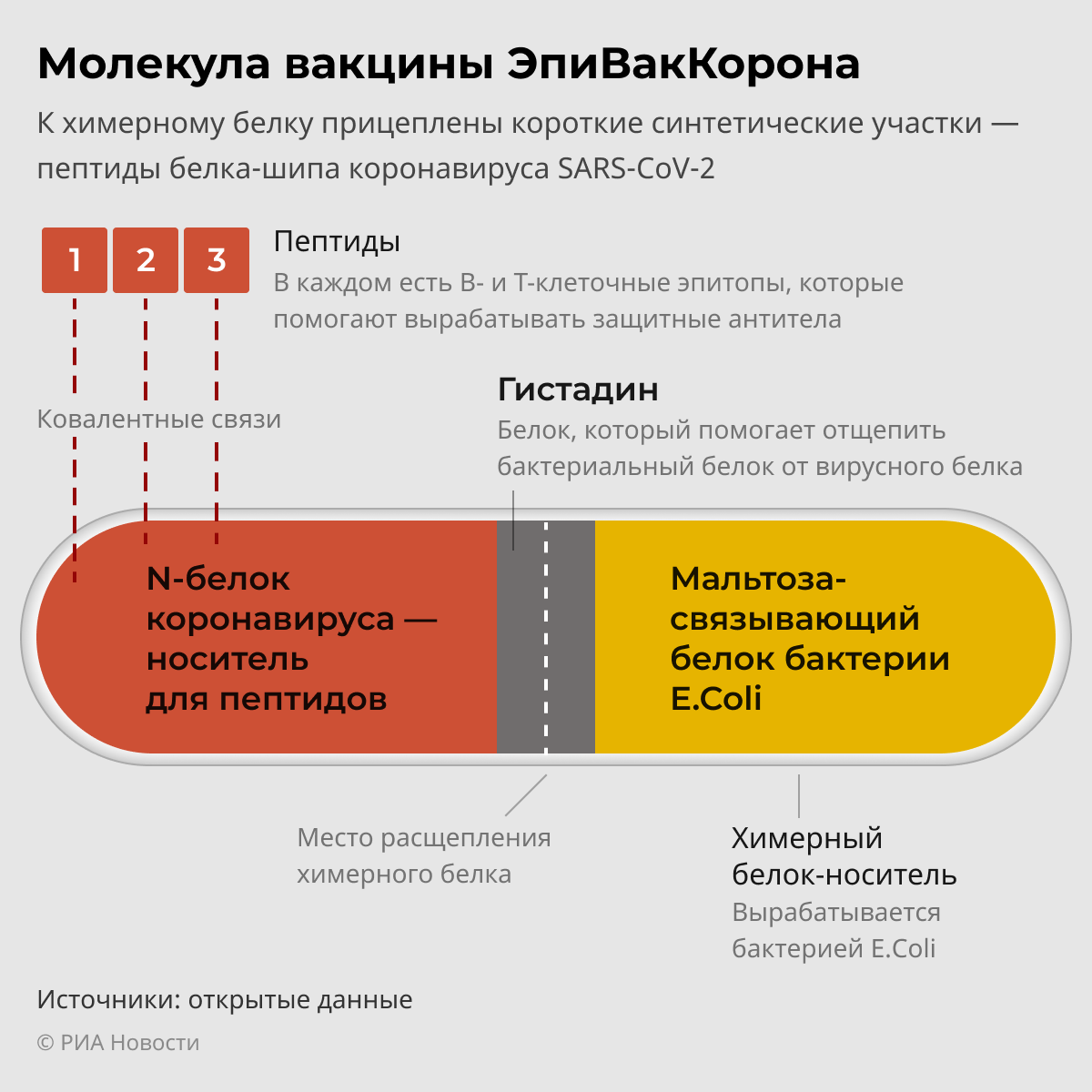 ЭпиВакКорона — эффективность вакцины, инструкция и противопоказания, отзывы  привитых