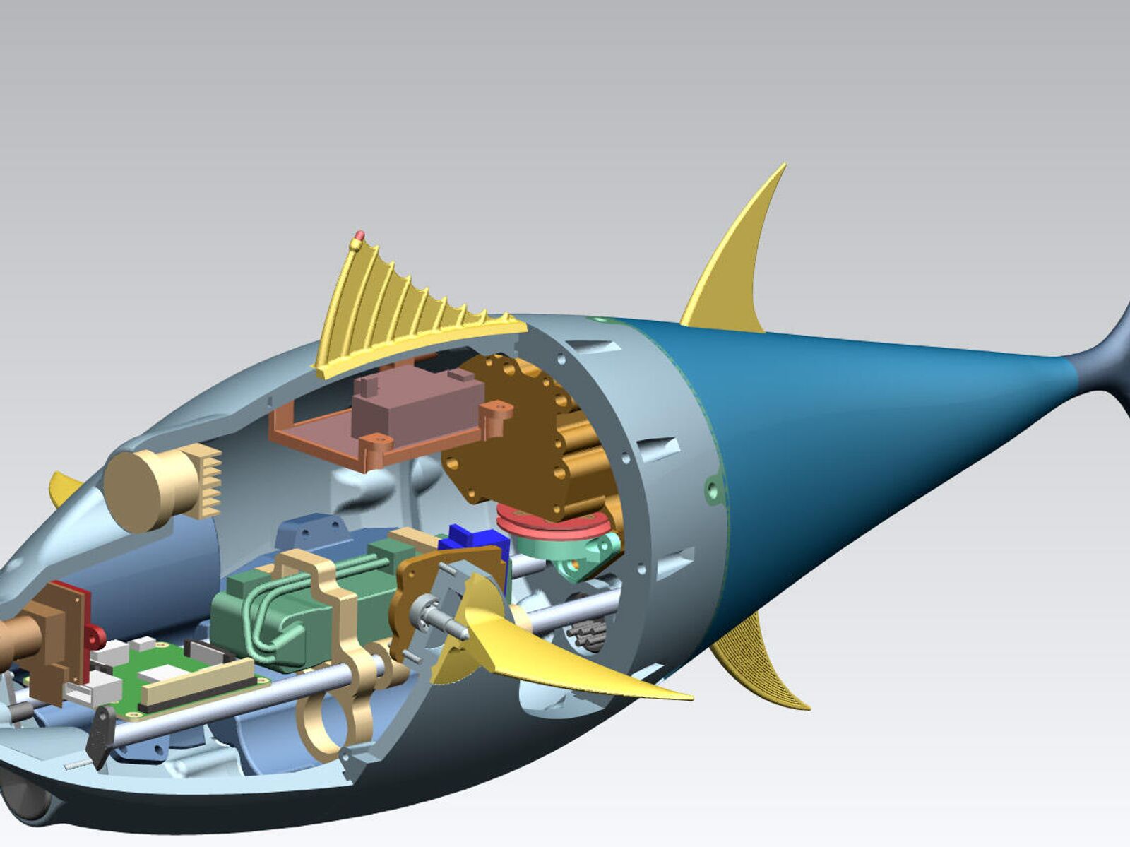 Ученые создали первого в России биоморфного подводного робота - РИА  Новости, 02.07.2021