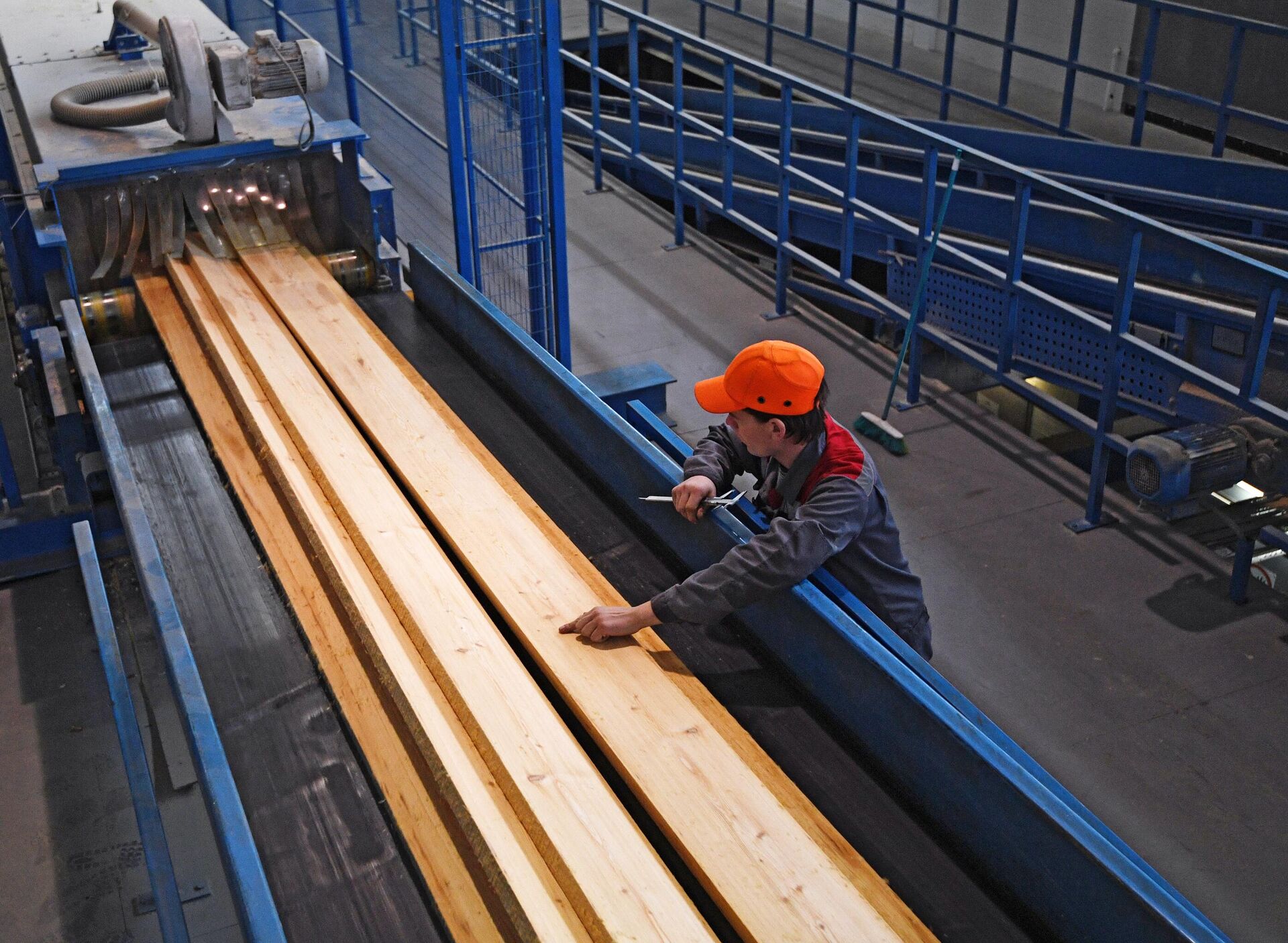 Сотрудник проверяет качество распила на автоматизированной линии лесопильного производства - РИА Новости, 1920, 25.03.2024