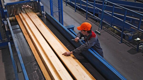 Сотрудник проверяет качество распила на автоматизированной линии лесопильного производства