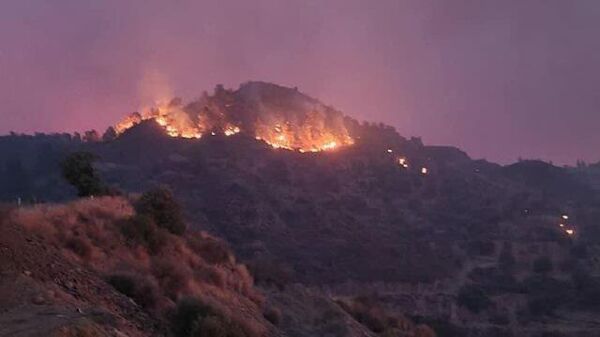 Кадры лесного пожара на Кипре