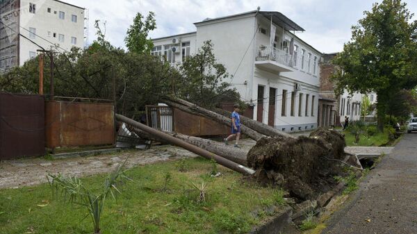 Последствия урагана в Сухуме, Абхазия