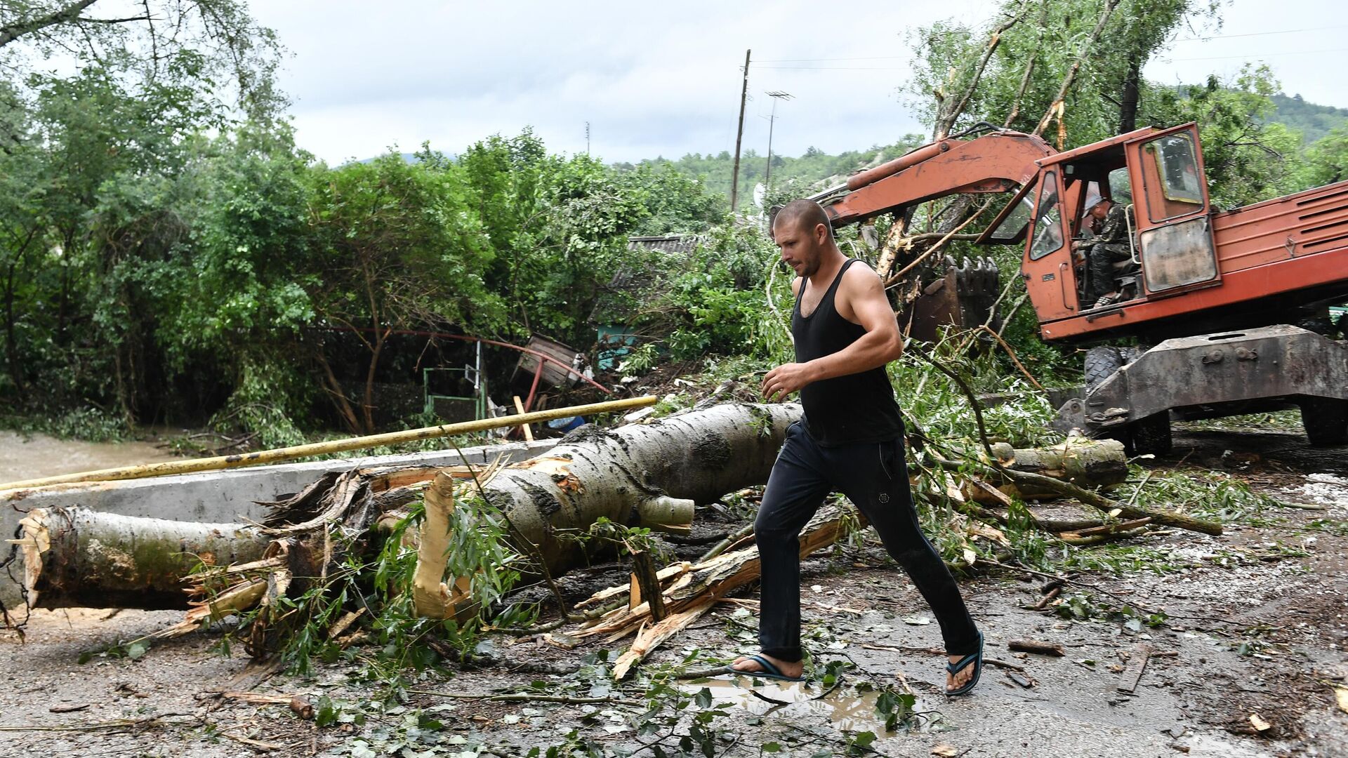 Местный житель проходит мимо упавшего дерева после сильных дождей и оползней в Бахчисарайском районе - РИА Новости, 1920, 07.07.2021