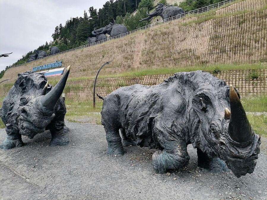 Шерстистые носороги в Археопарке