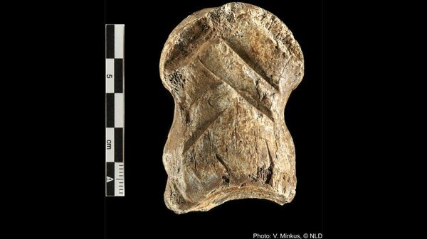 Резная кость возрастом 51000 лет