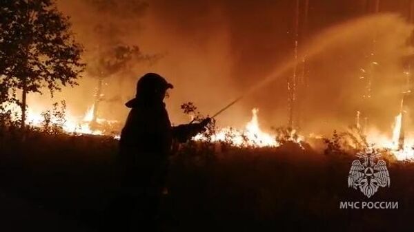 Сотрудник МЧС тушит лесной пожар в Челябинской области. Скриншот видео