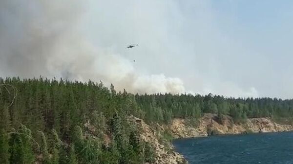 Лесные пожары в Челябинской области. Скриншот видео