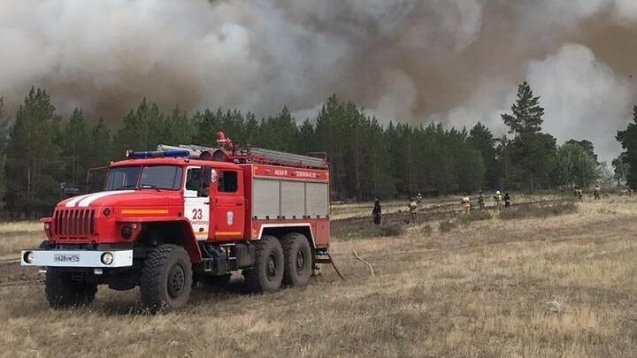 Сотрудники МЧС во время тушения лесного пожара в Челябинской области - РИА Новости, 1920, 10.07.2021