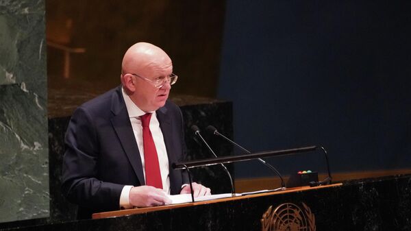 Постоянный представитель РФ при ООН Василий Небензя выступает на пленарном заседании Генеральной ассамблеи Организации Объединенных Наций в Нью-Йорке.